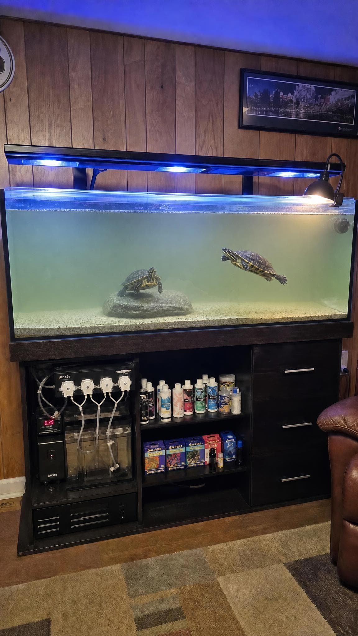 Turtles in the Tank prank example made with PrankAI