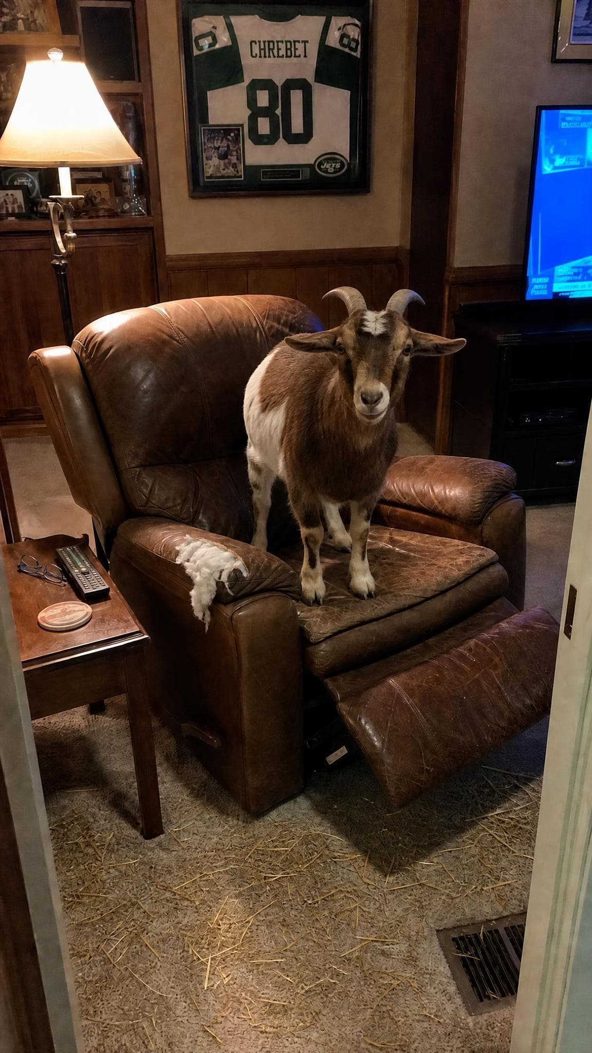 Goat in the Chair prank example made with PrankAI
